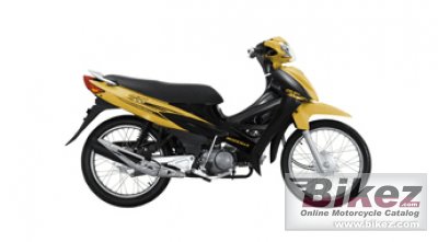 2011 Modenas CT100 photo